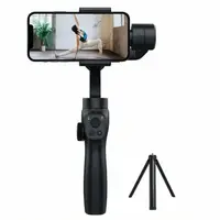 Трехосевой стабилизатор для смартфонов FunSnap Capture 2S (ZP003) Black