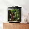 Акваферма Mijia Smart Fish Tank MYG200 (Black)