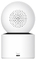 IP-камера Xiaomi Smart Camera C300 Dual (EU)